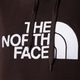 Худі оверсайз чоловіче The North Face Drew Peak Hoodie NF00AHJYI0I L Корчневе (196573595583) - зображення 4