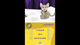 Игра Nintendo DS Purr Pals Английская Версия Без Коробки Б/У - изображение 6