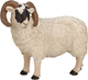 Figurka Mojo Farm Life Black Faced Sheep Ram 8 cm (5031923870819) - obraz 3