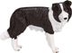 Figurka Mojo Farm Life Border Collie 5 cm (5031923872035) - obraz 1