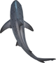 Figurka Mojo Sealife Bull Shark 5 cm (5031923872707) - obraz 12