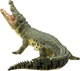 Figurka Mojo Wildlife Crocodile with Articulated Jaw 8 cm (5031923871625) - obraz 3