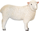 Figurka Mojo Farm Life Romney Sheep Ewe 7 cm (5031923810648) - obraz 1