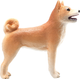 Фігурка Mojo Farm Life Shiba Inu 7 см (5031923871403) - зображення 4