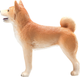 Фігурка Mojo Farm Life Shiba Inu 7 см (5031923871403) - зображення 6