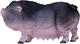 Figurka Mojo Pot Bellied Pig Medium 8 sm (5031923810792) - obraz 1