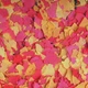 Корм для акваріумних риб Tropical пластівці Ovo-Vit, 12гр - зображення 2