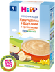 Молочна каша HiPP Кукурудзяна з фруктами з пребіотиками 250 г (9062300126539_9062300140153) - зображення 2