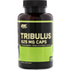 Optimum Nutrition, Tribulus 625 - 100 капс (103494) - зображення 1