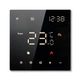 Терморегулятор IN-THERM PT 081 black matte - изображение 1