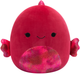 Maskotka Squishmallows Barella - Raspberry Betta Fish (196566412347) - obraz 1