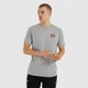 Мужская Футболка Ellesse Canaletto Tee Серый 2XL (7dSHS04548-112 2XL) - изображение 1