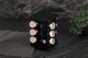 Набор емкостей для специй Berlinger Haus Black Rose Collection (BH-8559) - изображение 3