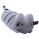 Пенал косметичка дитячий Pusheen cat 23х13 см Сірий v-12159 - зображення 1