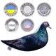 Мягкая игрушка антистресс WONKEY Голубь Аркадий 30см 33007 - изображение 6