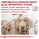 Лікувальний корм для собак при хронічній нирковій недостатності Royal Canin Renal , 14 кг - изображение 5