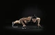 Упори для віджимання Adidas Push Up Bars (ADAC-12231-DS) Унісекс OFSM Чорні (885652000741) - зображення 4