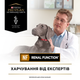 Консервированный корм Purina Pro Plan Veterinary Diets Veterinary Diets NF Renal Function Влажный диетический корм для взрослых собак для поддержания функции почек при хронической болезни почек, мусс 195 г (7613287862365) - изображение 5
