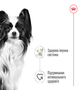 Консервований корм Royal Canin X-small Adult in gravy Вологий корм для дорослих собак мініатюрних розмірів 85 г (8033010) - зображення 2