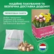 Нарцис Tete Boucle Жовтий Махровий Цибулини Florium (213149) - зображення 4
