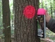 Флуоресцентная аэрозольная краска для маркировки леса Biodur Forest Marking Spray (розовая) - изображение 3