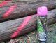 Флуоресцентная аэрозольная краска для маркировки леса Biodur Forest Marking Spray (розовая) - изображение 6