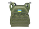 Плитоноска 8Fields Jump Plate Carrier Cummerbund Olive - изображение 1