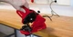 Einhell Верстат для заточування ланцюга GC-CS 85 E - изображение 2