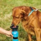 Поилка для собак Aqua Dog Портативная дорожная 550 мл Голубая - изображение 4