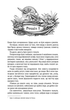 Відьмак. Володарка Озера. Книга 7 (9786171291034) - зображення 7