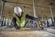 Пила дисковая аккумуляторная DeWalt без АКБ и ЗУ DCS579NT - изображение 6