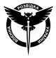 Наклейка на Авто / Мото / Витрину на Стекло Кузов "Военная разведка Украины ГУР" чёрный цвет - изображение 1