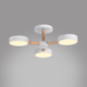 Светодиодный светильник Ardero AL6193ARD 40W SCANDY - изображение 4