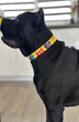 Нашийник для собак нейлоновий WAUDOG Nylon з QR паспортом, малюнок "Мохнаті монстри", пластиковий фастекс, розмір XL, 37-58 см, 25 мм - зображення 10