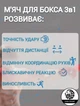 Тренажер, м'яч для бокса, файтбол Lion 3-1-BOX, набір із 3 шт в чохлі - зображення 5