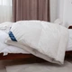 Одеяло "COTE BLANC" Feather 180*210 см 250g/m2 - изображение 1