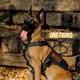 Шлея-жилет OneTigris Colossus Tactical Harness для собак Черный М (161440) - изображение 6