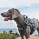 Шлея-жилет OneTigris Fire Watcher Dog Harness 2.0 для собак Чорний XL (161297) - зображення 6