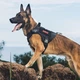 Шлея-жилет OneTigris Fire Watcher Dog Harness 2.0 для собак Чорний XL (161297) - зображення 7