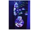 Гірлянда Xmas M-1 Copper curtain ball lamp 7257 Санта, різнобарвна - изображение 1