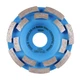 Алмазная сегментная торцевая фреза Distar DGS-S 100/22,23-14 Beton 10170085419 (10168) - изображение 1