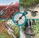 Акумуляторний багатофункціональний садовий інструмент комбісистема Makita DUX60Z LXT 2x18В ручний мультитул привід для садових насадок (4071) - зображення 10