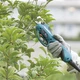 Аккумуляторный секатор Makita DUP361Z LXT 18В+18В 33мм электрические ручные садовые ножницы (4229) - изображение 13