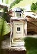 Одеколон унисекс Jo Malone Wood Sage & Sea Salt 100 мл (690251033713/ROZ6400104529) - изображение 3