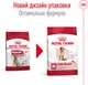Сухой корм для собак Royal Canin Medium Adult 7+ средних пород от 7 лет 4 кг (3182550708203) (30050400) - изображение 2