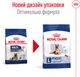 Сухой корм для собак Royal Canin Maxi Ageing 8+ крупных пород от 8 лет 15 кг (3182550803113) (24541500) - изображение 2