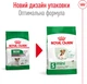 Сухой корм для собак Royal Canin Mini Ageing 12+ мелких пород старше 12 лет 800 г (3182550793353) (10070080) - изображение 2
