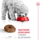 Сухой корм для собак Royal Canin Mini Ageing 12+ мелких пород старше 12 лет 800 г (3182550793353) (10070080) - изображение 5