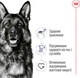 Сухой корм для собак Royal Canin Maxi Adult крупных пород от 15 месяцев 4 кг (30070400) (3182551055917) - изображение 3