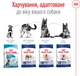 Сухой корм для собак Royal Canin Maxi Adult крупных пород от 15 месяцев 4 кг (30070400) (3182551055917) - изображение 6